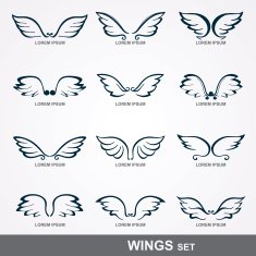 Wings collection N7