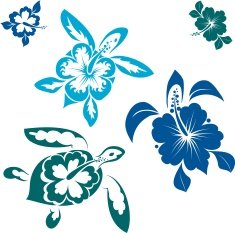 hawaiin turtles