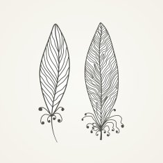 Feathers N54