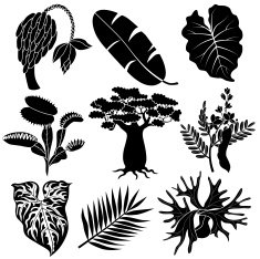 jungle flowers and plants