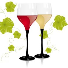 Wine Glasses N10