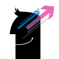 Head and arrow concept N2