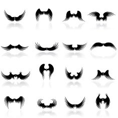Wings Icon Set N2