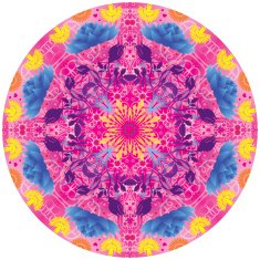 Floral Mandala N6