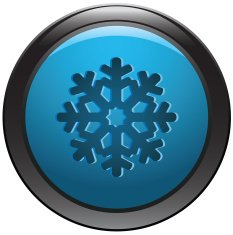 Snowflake button N2