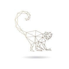 Monkey abstract isolated on a white background N6