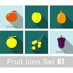 Fruit flat icon design N20
