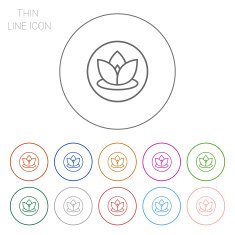 Lotus icon N2