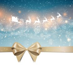 Vector Christmas Design N9