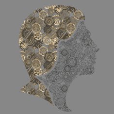 steampunk girl N2