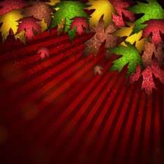 Beautiful autumn background vector illustration EPS 10