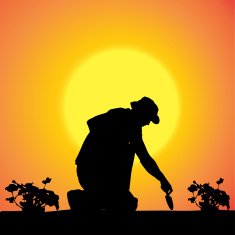 Vector silhouette of a gardener N114