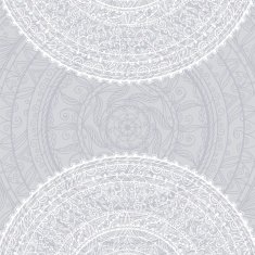 Background with abstract floral lace ornament N13