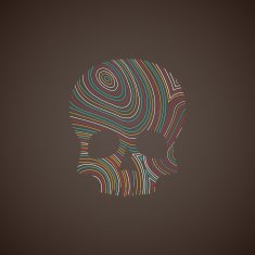 illustration with a multicolored skull N2