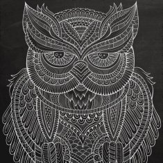 Decorative chalk board Owl head N2