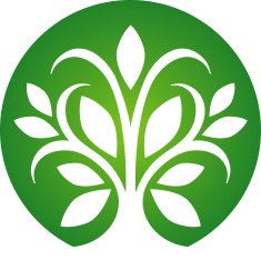 Circle tree icon