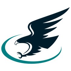 Eagle Attack N5
