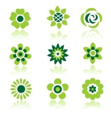 Flowers set N21