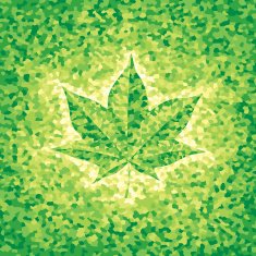 Maple Leaf N38