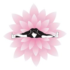 Yoga series XII
