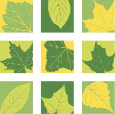 set of icons with leaves N2