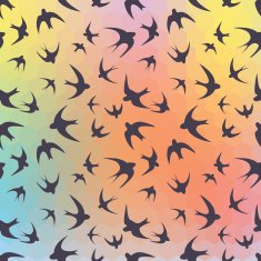 Swallow and rainbow hexagons