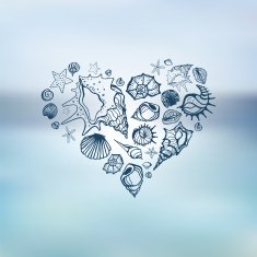 Heart of Sea shells Summer holidays