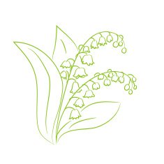 sketch of a flower lily the valley N2