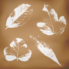 Grunge vector leaves