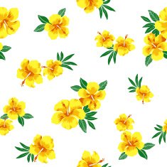 hibiscus repeats N49
