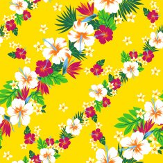 hibiscus repeats N50