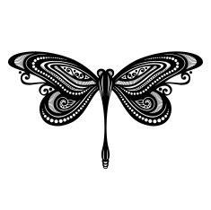 Vector Beautiful Dragonfly Exotic Insect N5
