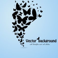 butterflies background N5