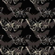 vector seamless pattern of butterflies N9