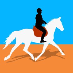 horse and jockey N9