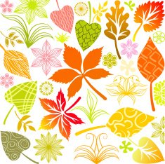 Fall leaves set N2