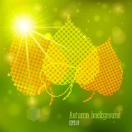 Autumn background with lights and yellow leaves