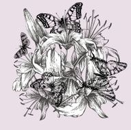Floral background with lilies and black butterflies Vector illustration