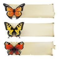 Butterfly banners N4