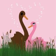 Lovely swans on a glade