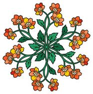 star flower