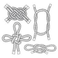 Set of marine knots Vector isolated elements N2