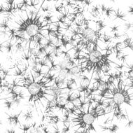 Seamless pattern of dandelion Hand-drawn floral background N4