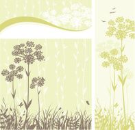 Floral banners - Anise flowers