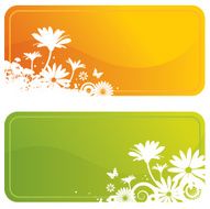 Flower Frames N12