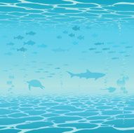 ocean N5