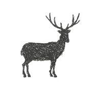 Deer abstract isolated on a white backgrounds vector illustration N7