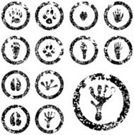 Footprint Stamp Set - 02 of 04