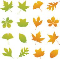 Spring and Fall Leaf Set
