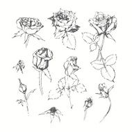 Set of monochrome roses isolated on white background